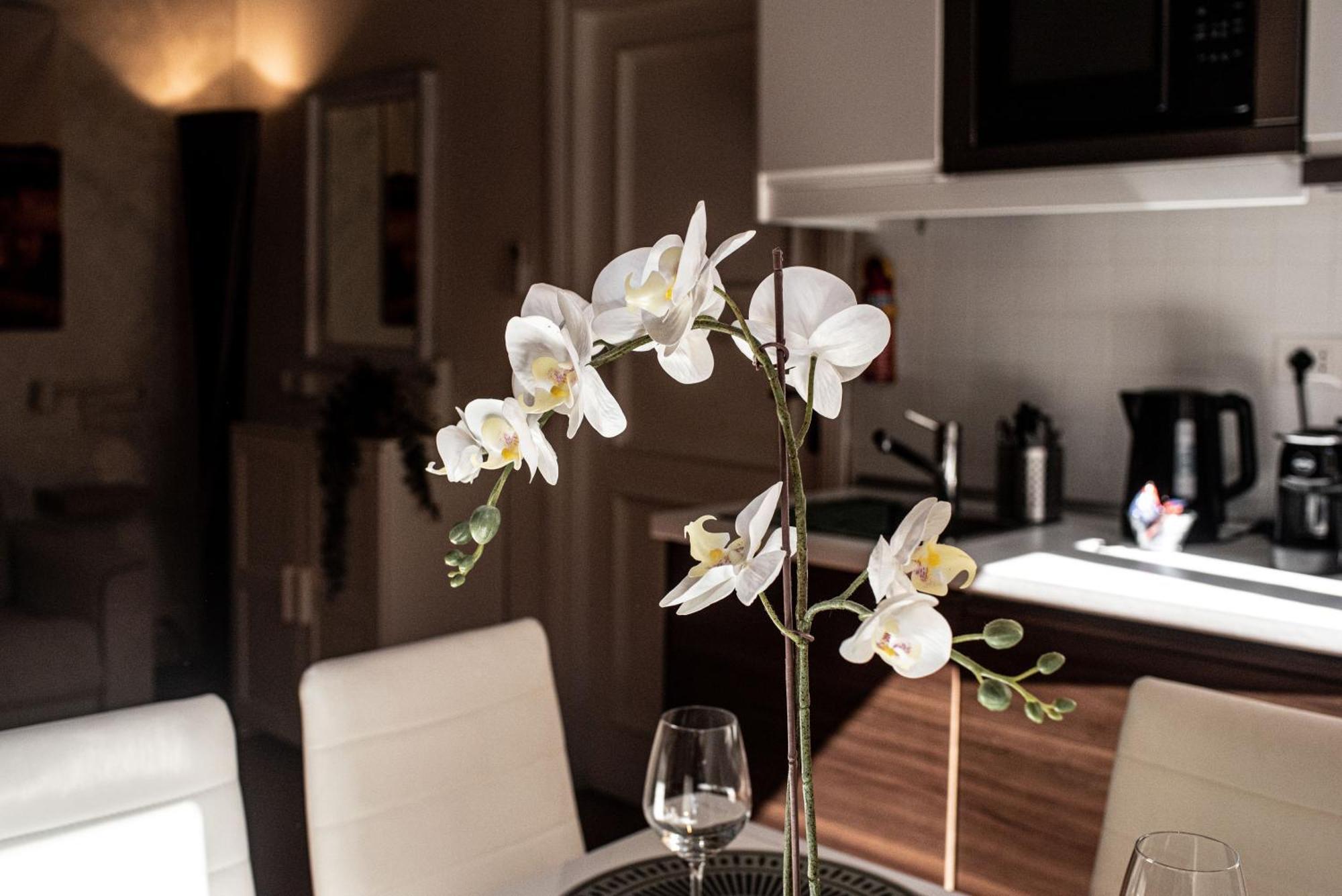 Spanish Steps Apartment & Terrace 罗马 外观 照片
